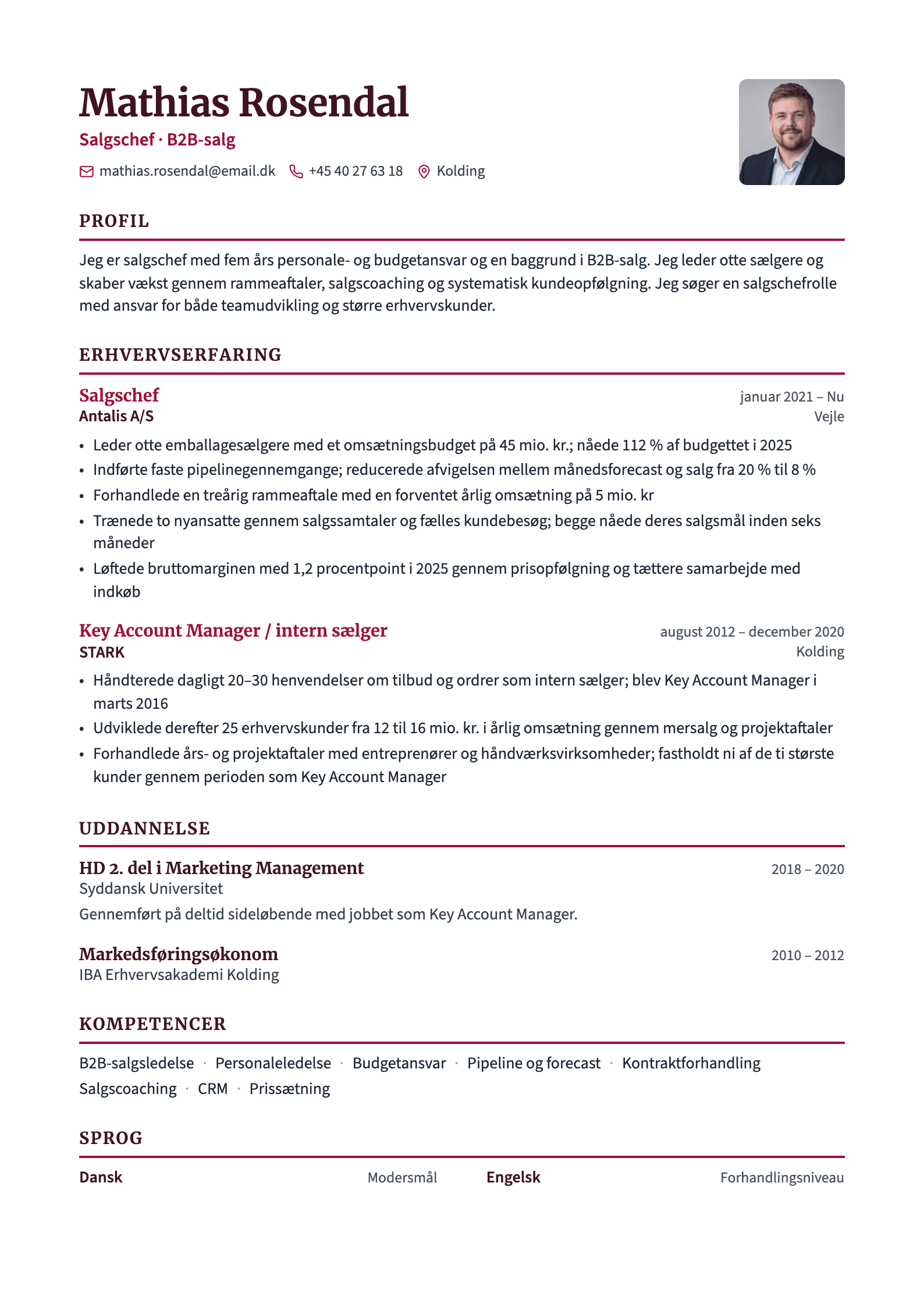 CV-eksempel: Salgschef